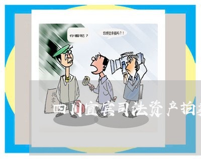 四川宜宾司法资产拍卖 四川宜宾司法资产拍卖
