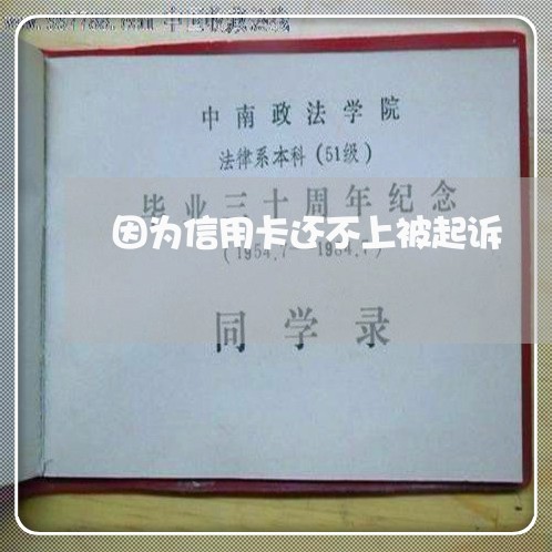 因为信用卡还不上被起诉