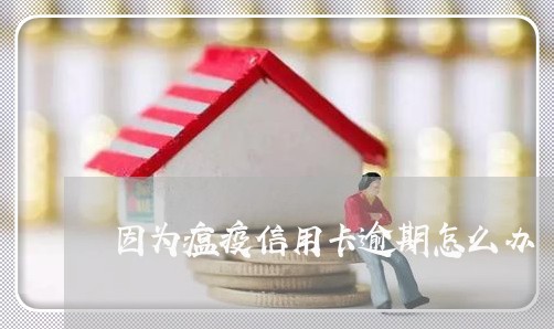 因为瘟疫信用卡逾期怎么办/2023041348389 因为瘟疫信用卡逾期怎么办/2023041348389
