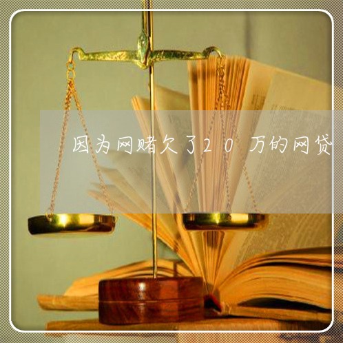 因为网赌欠了20万的网贷 因为网赌欠了20万的网贷