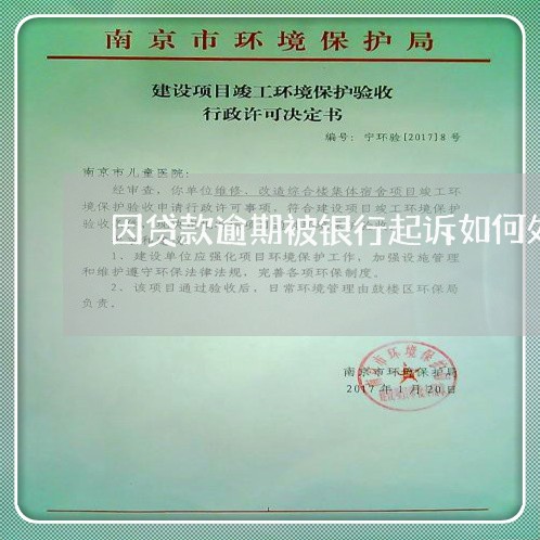 因贷款逾期被银行起诉如何处理