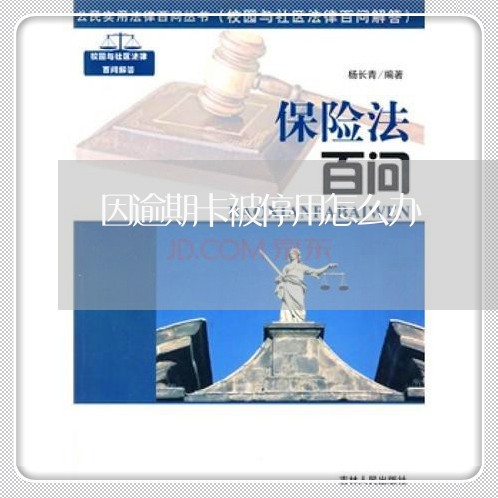 因逾期卡被停用怎么办/2023100834069