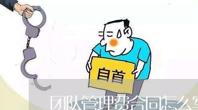 团队管理费合同怎么写6/2023042284707