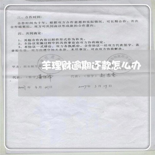 囧羊理财逾期还款怎么办