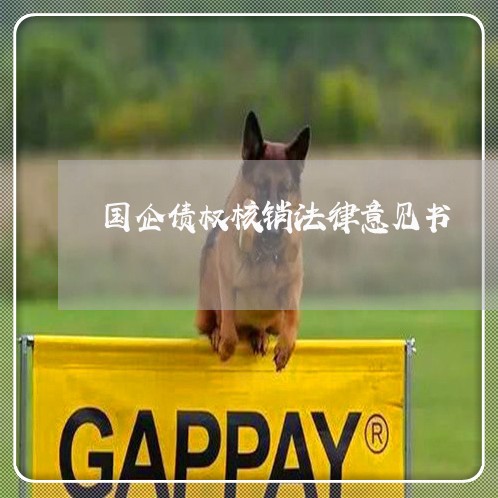 国企债权核销法律意见书 国企债权核销法律意见书