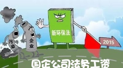 国企公司法务工资 国企公司法务工资