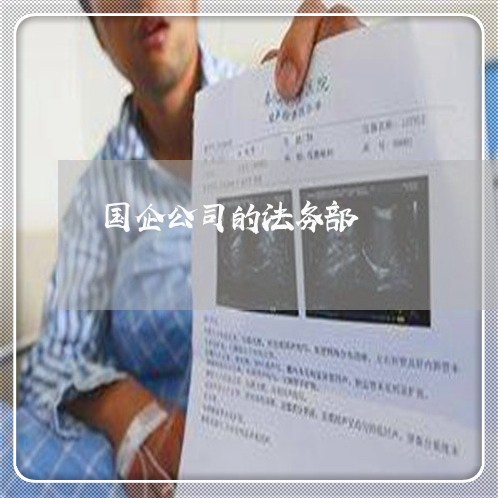 国企公司的法务部 国企公司的法务部