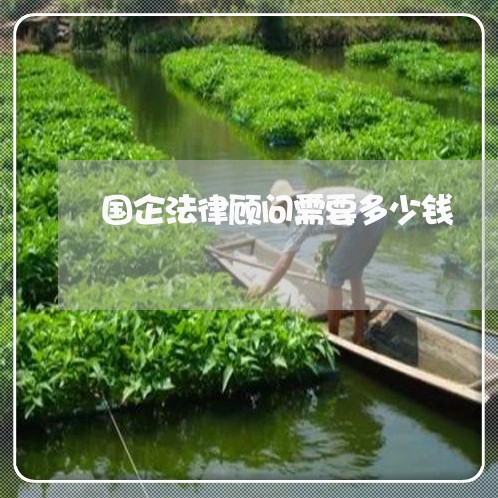 国企法律顾问需要多少钱/2023061938381