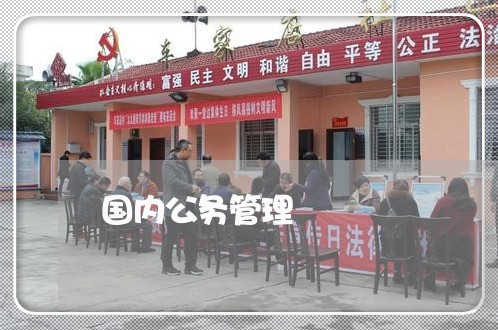 国内公务管理