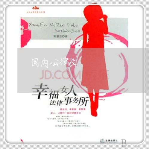 国内公律收