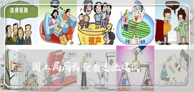 国土局局长查看违法建设 国土局局长查看违法建设