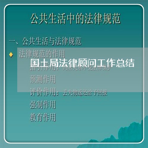 国土局法律顾问工作总结 国土局法律顾问工作总结