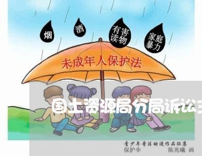 国土资源局分局诉讼主体