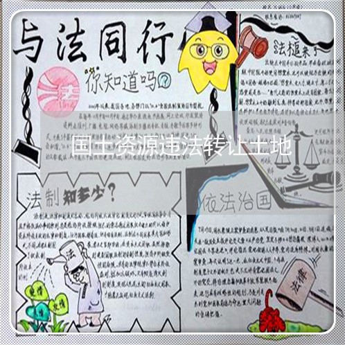 国土资源违法转让土地 国土资源违法转让土地