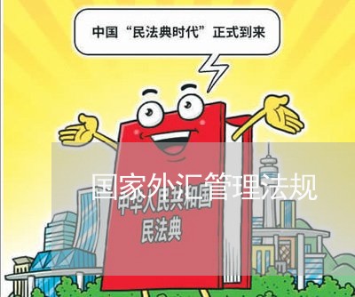 国家外汇管理法规 国家外汇管理法规