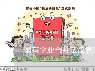 国有企业合并法律意见书