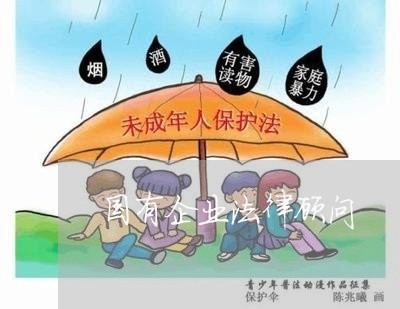 国有企业法律顾问/2023061638169 国有企业法律顾问/2023061638169