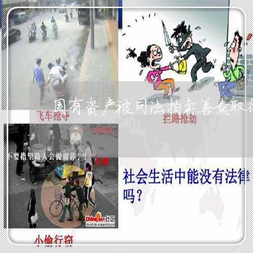 国有资产被司法拍卖善意取得 国有资产被司法拍卖善意取得