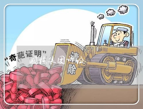 国栋集团诉讼 国栋集团诉讼