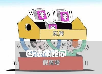 国法律顾问/2023061673714