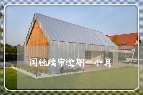 国税政审逾期一个月