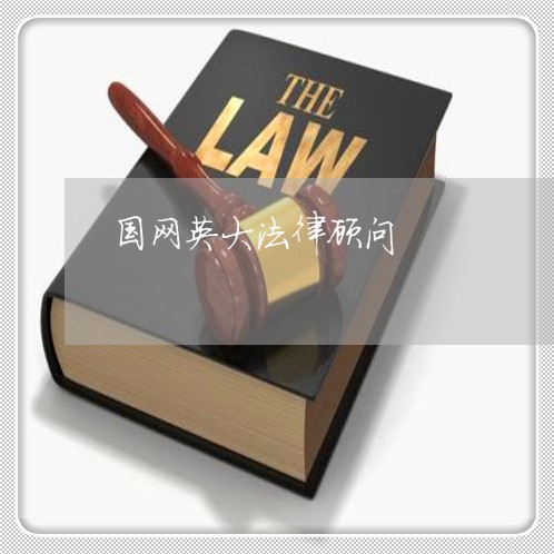 国网英大法律顾问/2023061886048