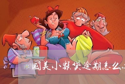 国美小额贷逾期怎么办信用卡/2023060572503