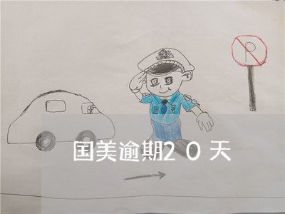 国美逾期20天 国美逾期20天