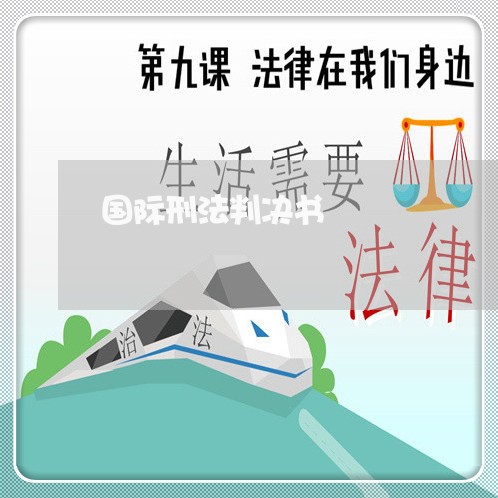 国际刑法判决书 国际刑法判决书