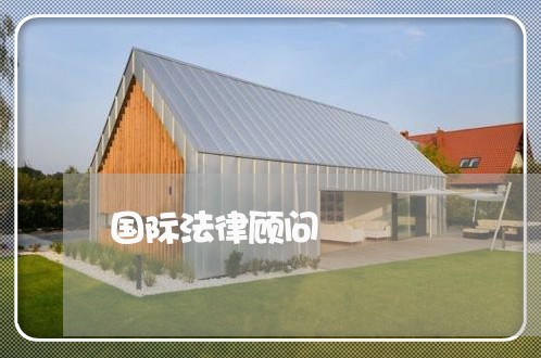 国际法律顾问/2023061646157 国际法律顾问/2023061646157