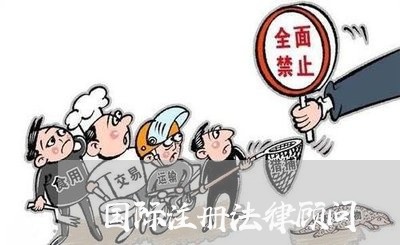 国际注册法律顾问/2023061758584