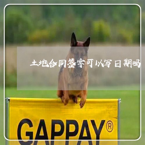 土地合同签字可以写日期吗/2023041013938
