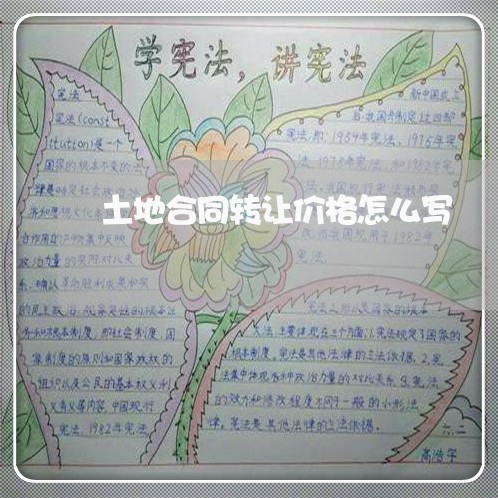 土地合同转让价格怎么写/2023011648382