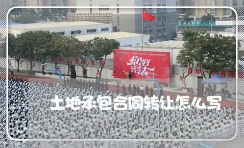 土地承包合同转让怎么写/2023042383926