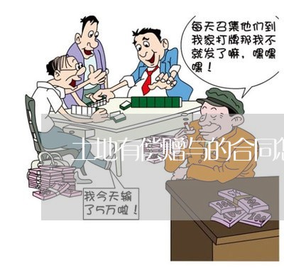 土地有偿赠与的合同怎么写/2023041050492