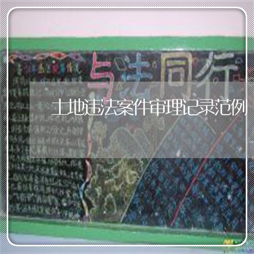 土地违法案件审理记录范例