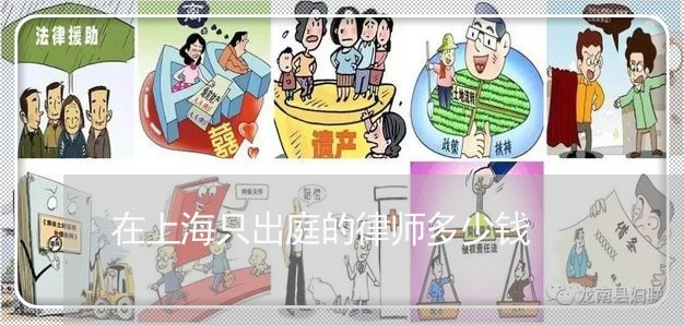 在上海只出庭的律师多少钱/2023031884925