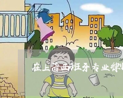 在上海西班牙专业律师事务所/2023032147483 在上海西班牙专业律师事务所/2023032147483