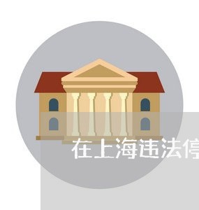 在上海违法停车罚款单 在上海违法停车罚款单