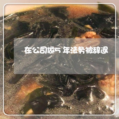 在公司做5年法务被辞退 在公司做5年法务被辞退
