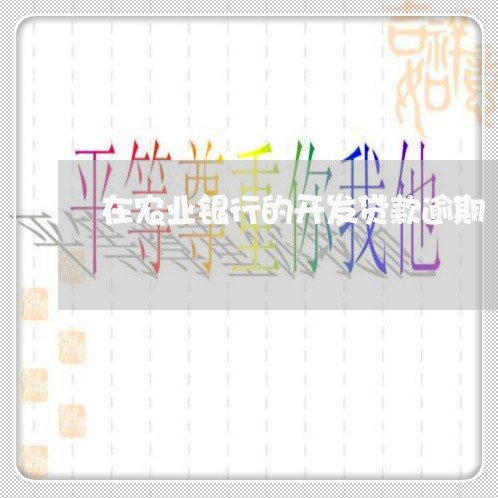 在农业银行的开发贷款逾期 在农业银行的开发贷款逾期