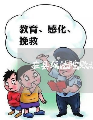 在县级法院败诉后怎么上诉