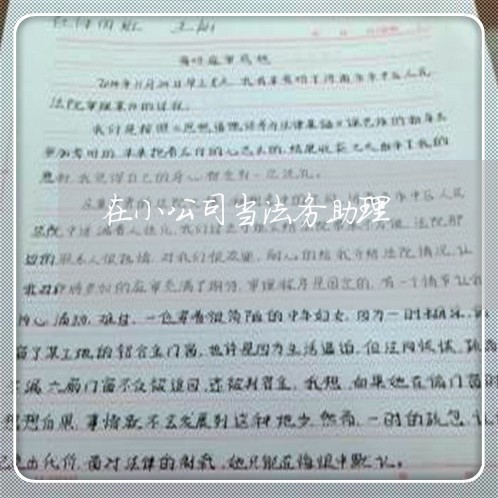 在小公司当法务助理 在小公司当法务助理