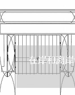 在岸和离岸债务重组什么意思/2023022456172