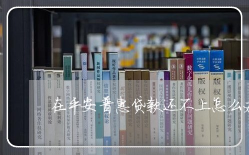 在平安普惠贷款还不上怎么办/2023100803736