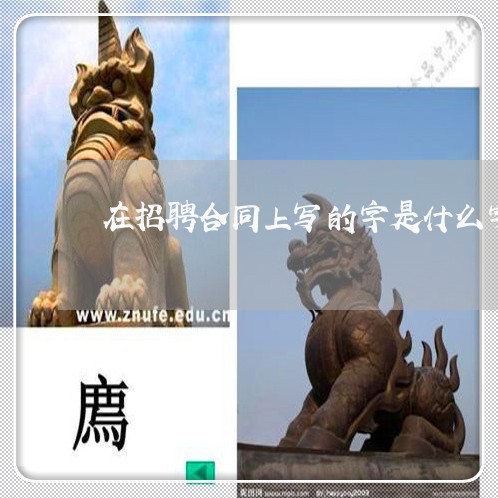 在招聘合同上写的字是什么字体/2023061712948