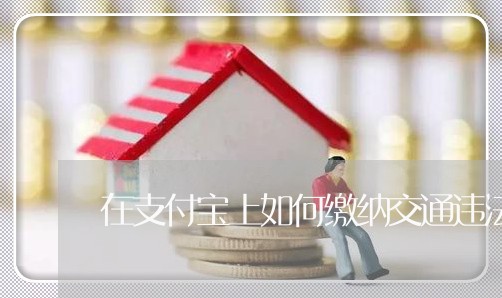 在支付宝上如何缴纳交通违法罚单 在支付宝上如何缴纳交通违法罚单