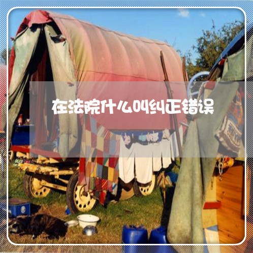 在法院什么叫纠正错误 在法院什么叫纠正错误