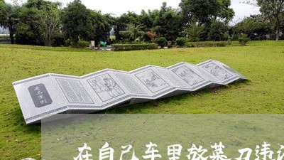 在自己车里放菜刀违法吗
