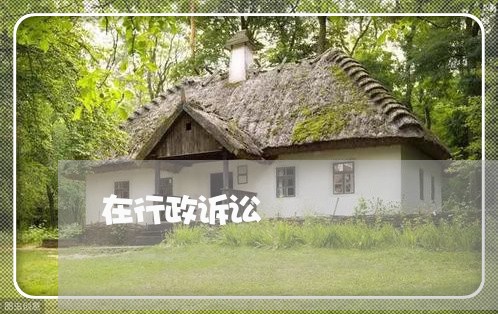 在行政诉讼